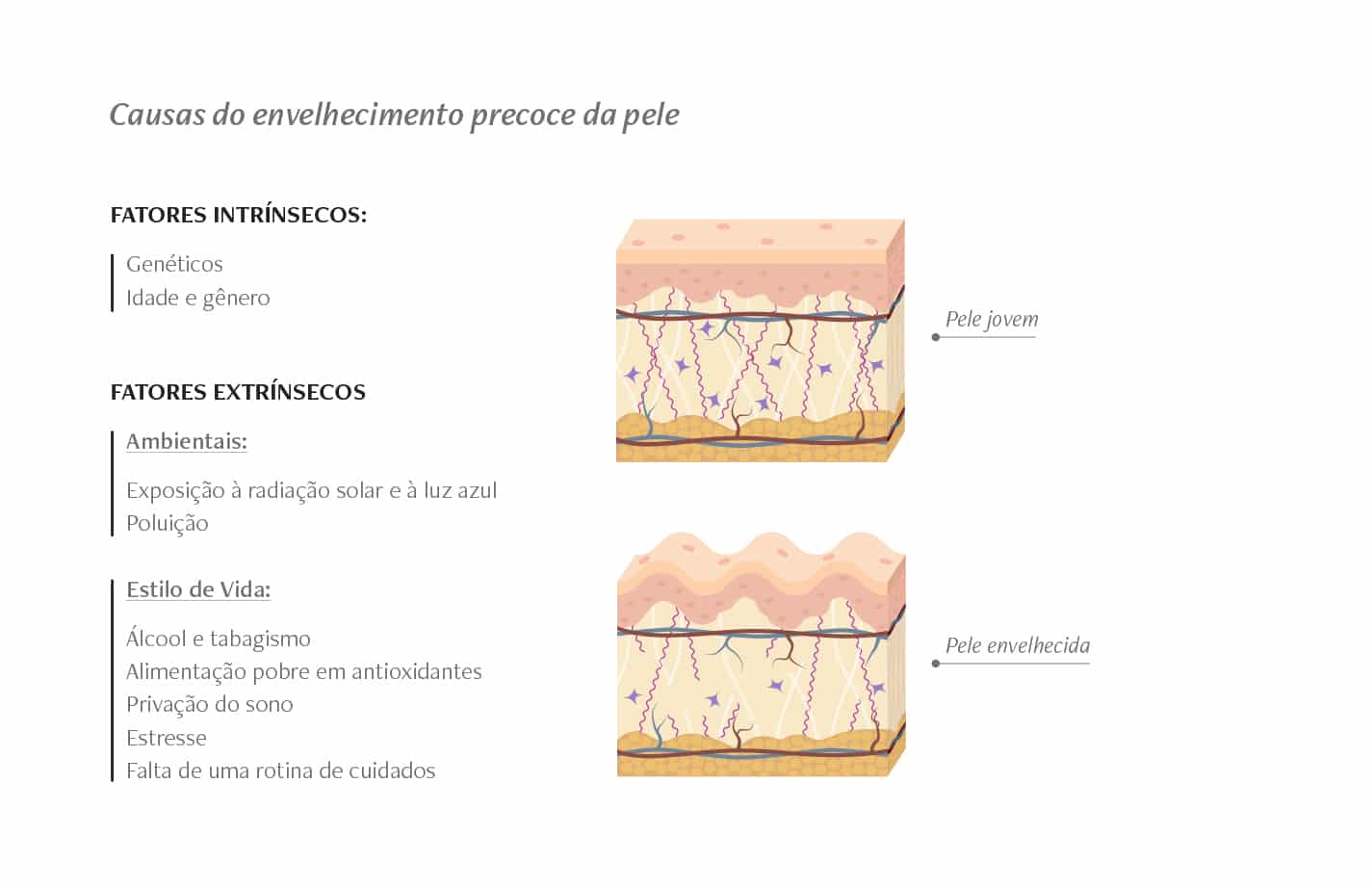 Infográfico contendo os principais fatores que causam o envelhecimento da pele.