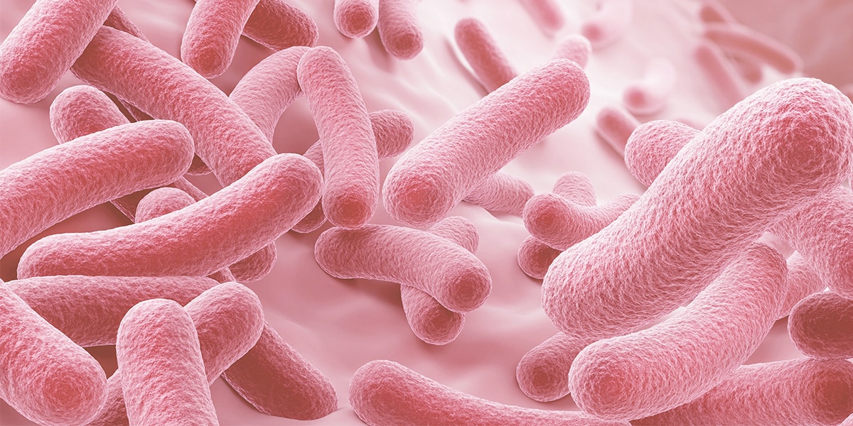 papel do microbioma intimo microbioma intimo