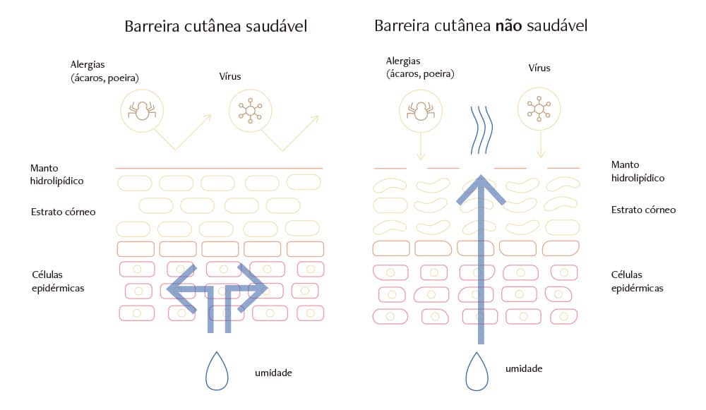 barreira cutanea esfoliação corporal