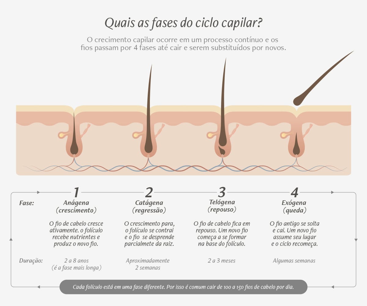Quais sao as fases do ciclo capilar queda de cabelo no inverno